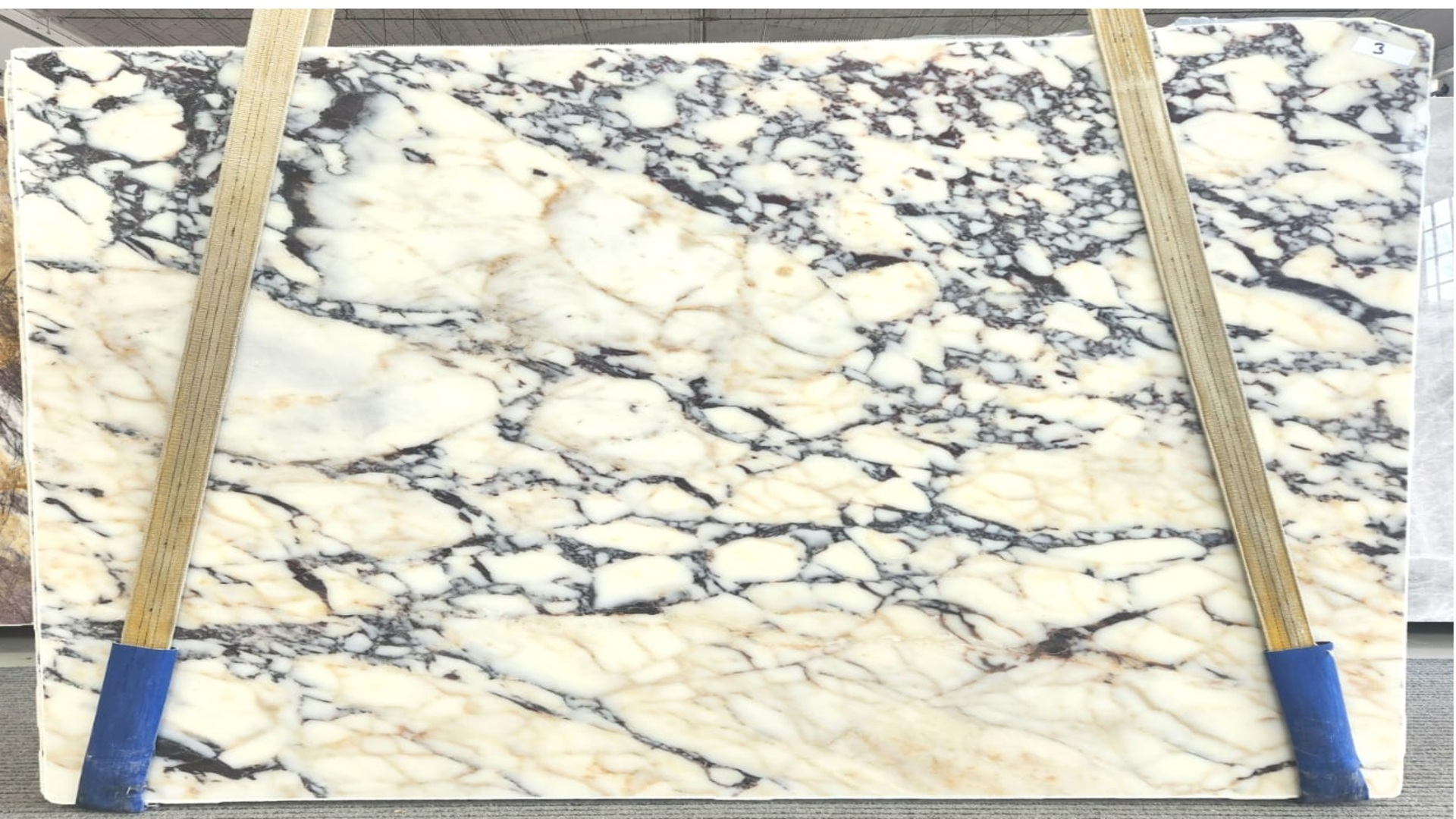 calacatta-viola-lastra