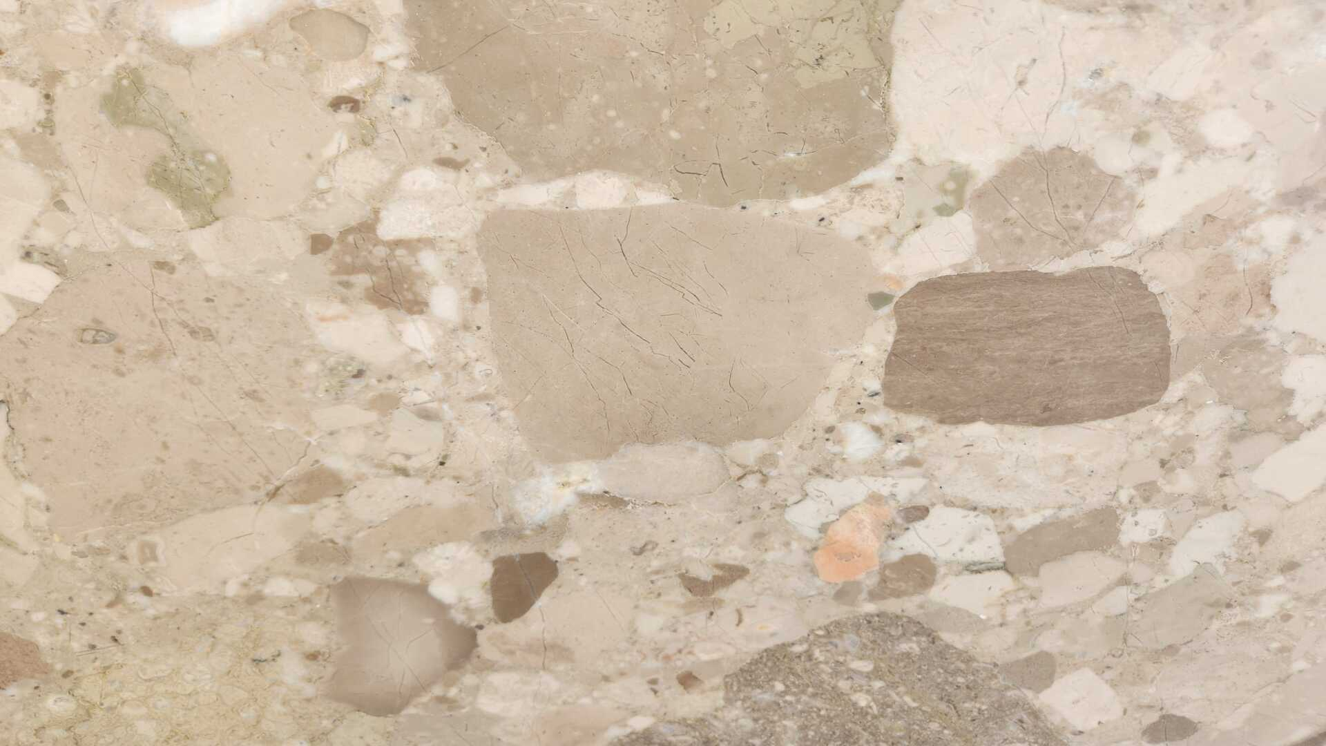 ceppo-beige