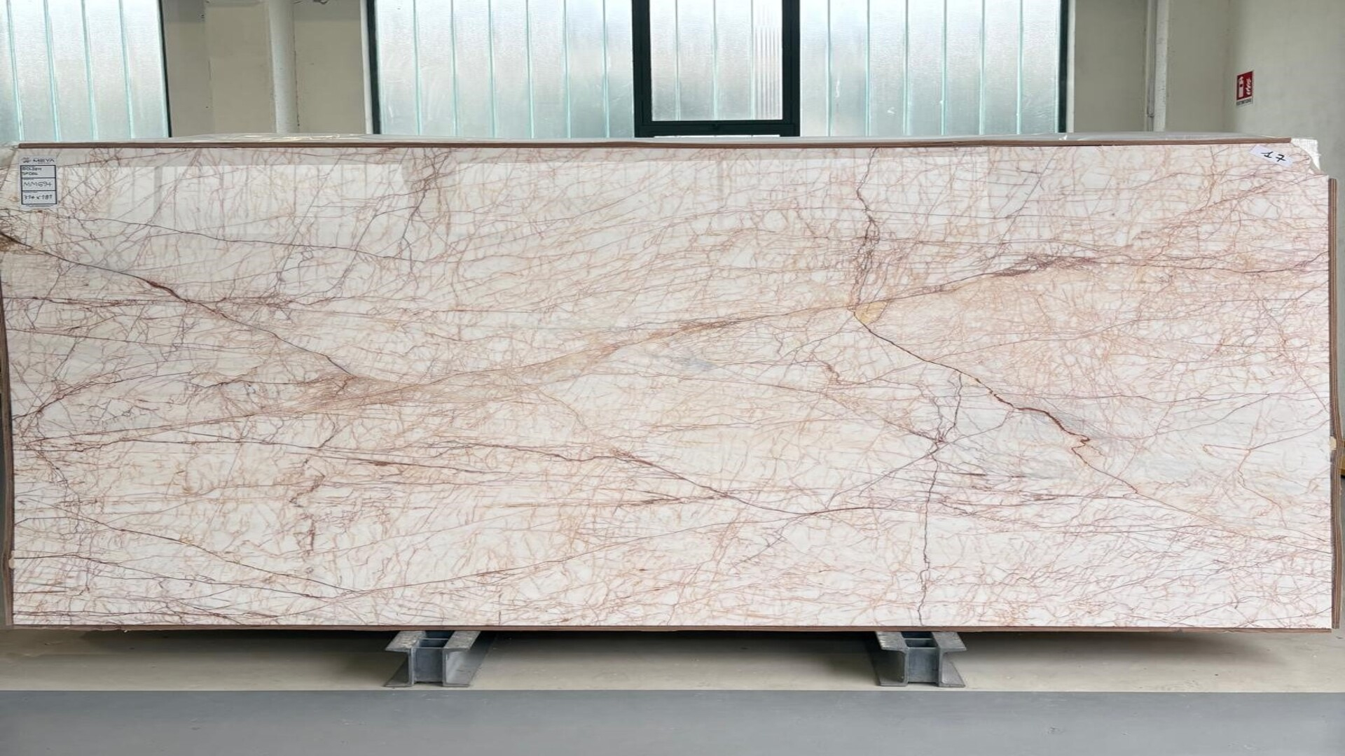 golden-spider-lastra