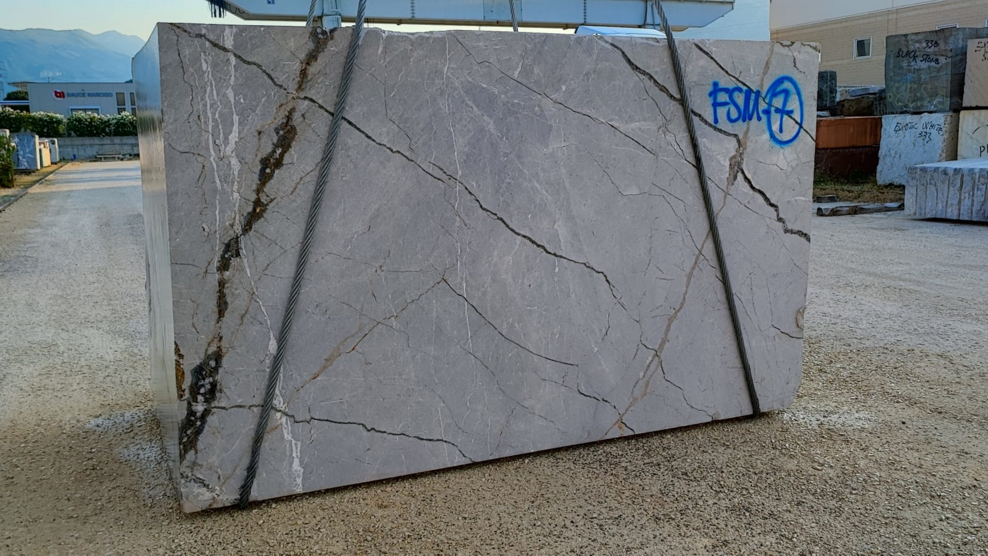 silver-radice-blocco