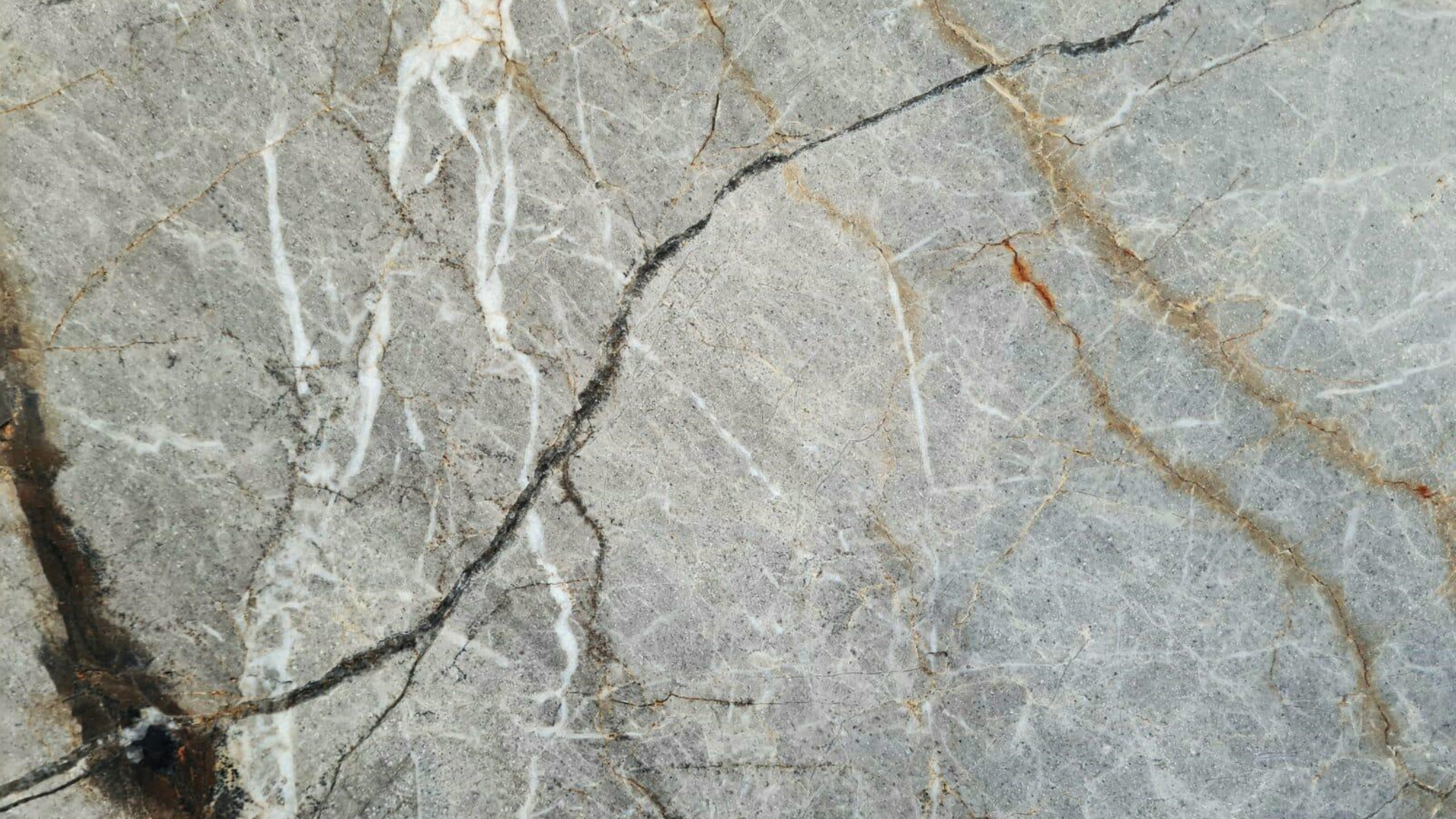 silver-radice